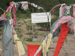 img_0118 img_0118